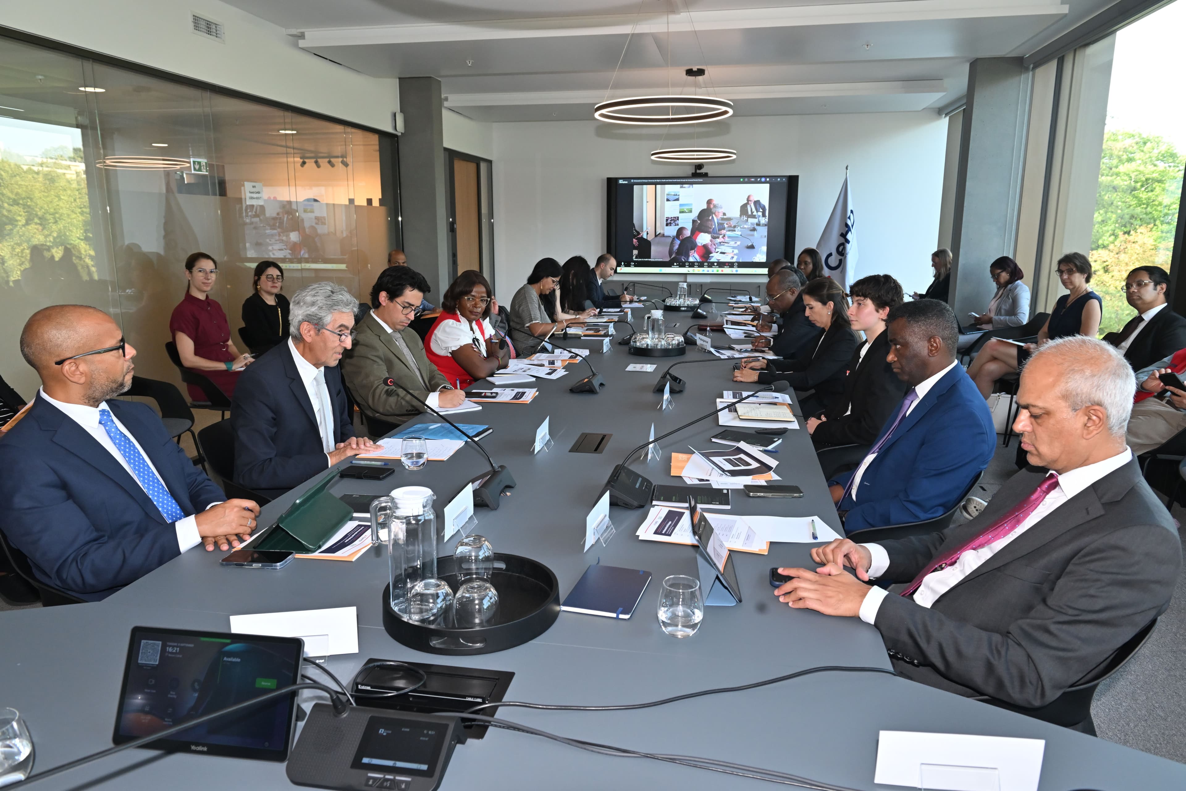 Ambassadorial Dialogue: Advancing the Right to Health and Global Health Equity through the Universal Periodic Review